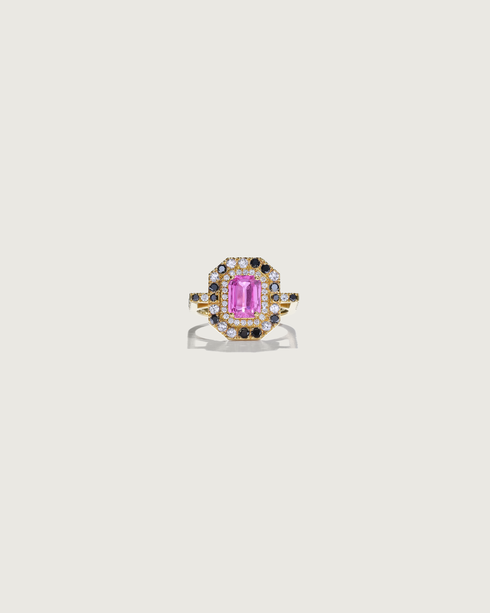 Lion_Original_PrecSappMultiPink_HaloBirdie